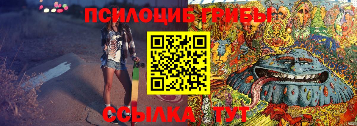 Псилоцибиновые грибы мицелий Боровичи