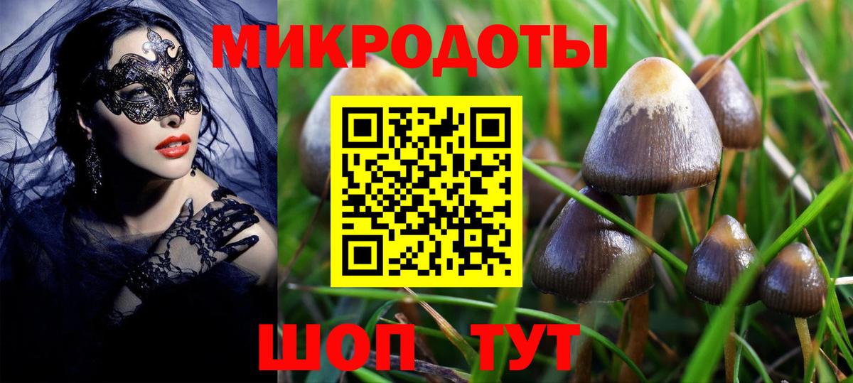 Псилоцибиновые грибы Psilocybe  Вход с VPN  Боровичи 