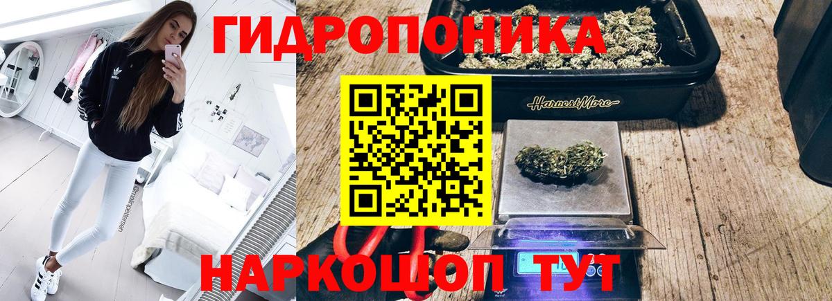 Бошки марихуана сатива  Бошки марихуана план  Марихуана VHQ  Боровичи  Вход с VPN 